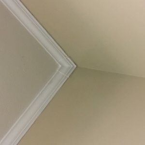 Meet your Posher, Zyon